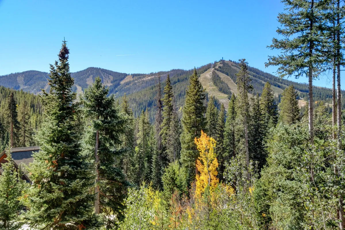This image presents a sweeping view of the surrounding mountain peaks, dense pine trees, and changing autumn foliage, emphasizing the home's connection to nature and the wealth of outdoor activities available nearby.